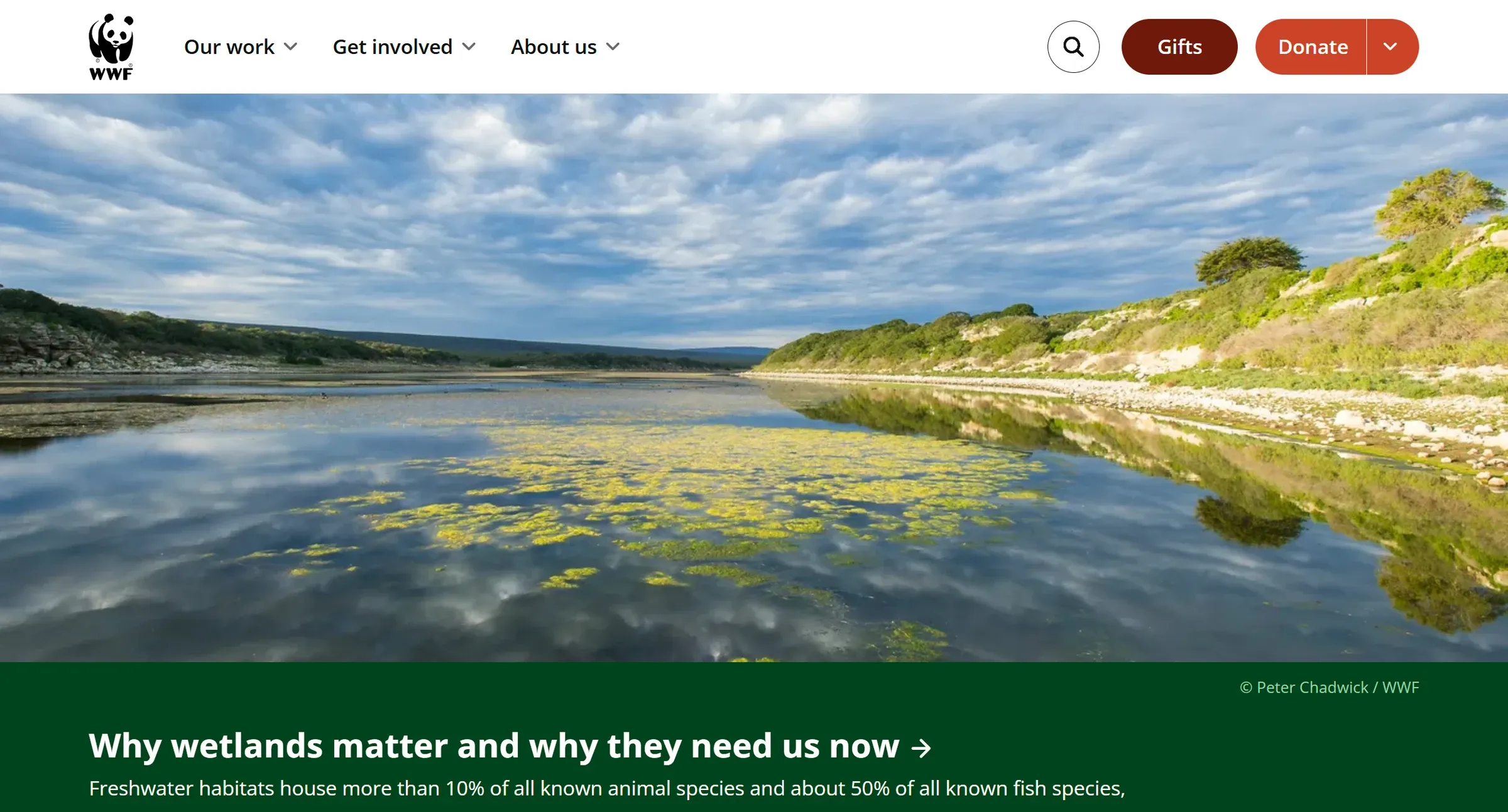 WWF's homepage, a full-width wetland photograph above a green band carrying a conservation statistic