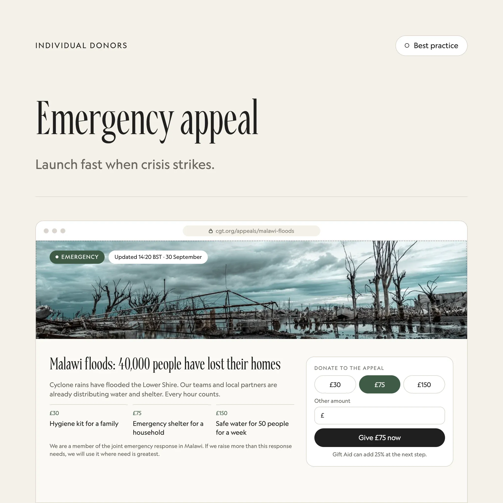Emergency appeal: an illustrated example of this section on a fictional charity's website