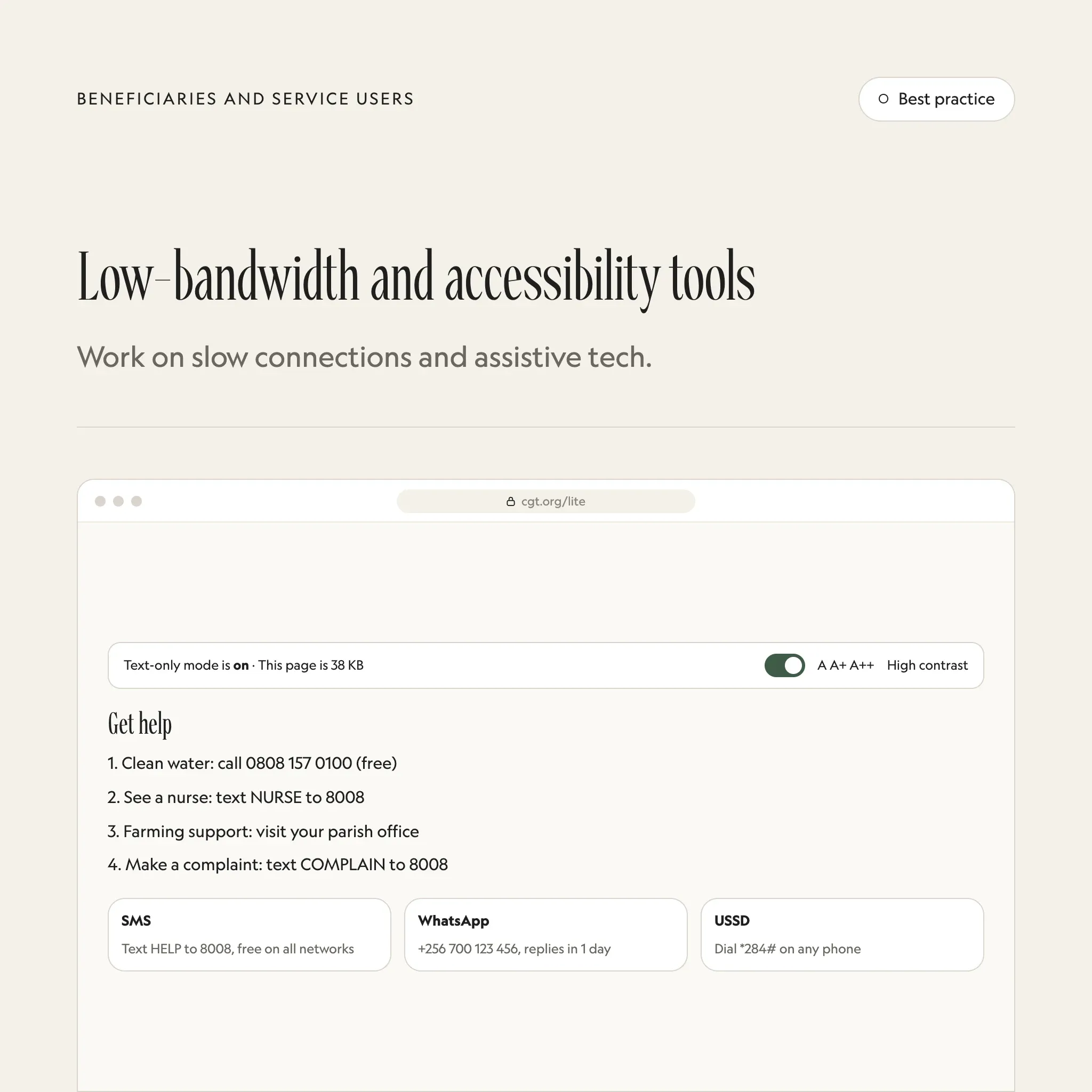 Low-bandwidth access: an illustrated example of this section on a fictional charity's website