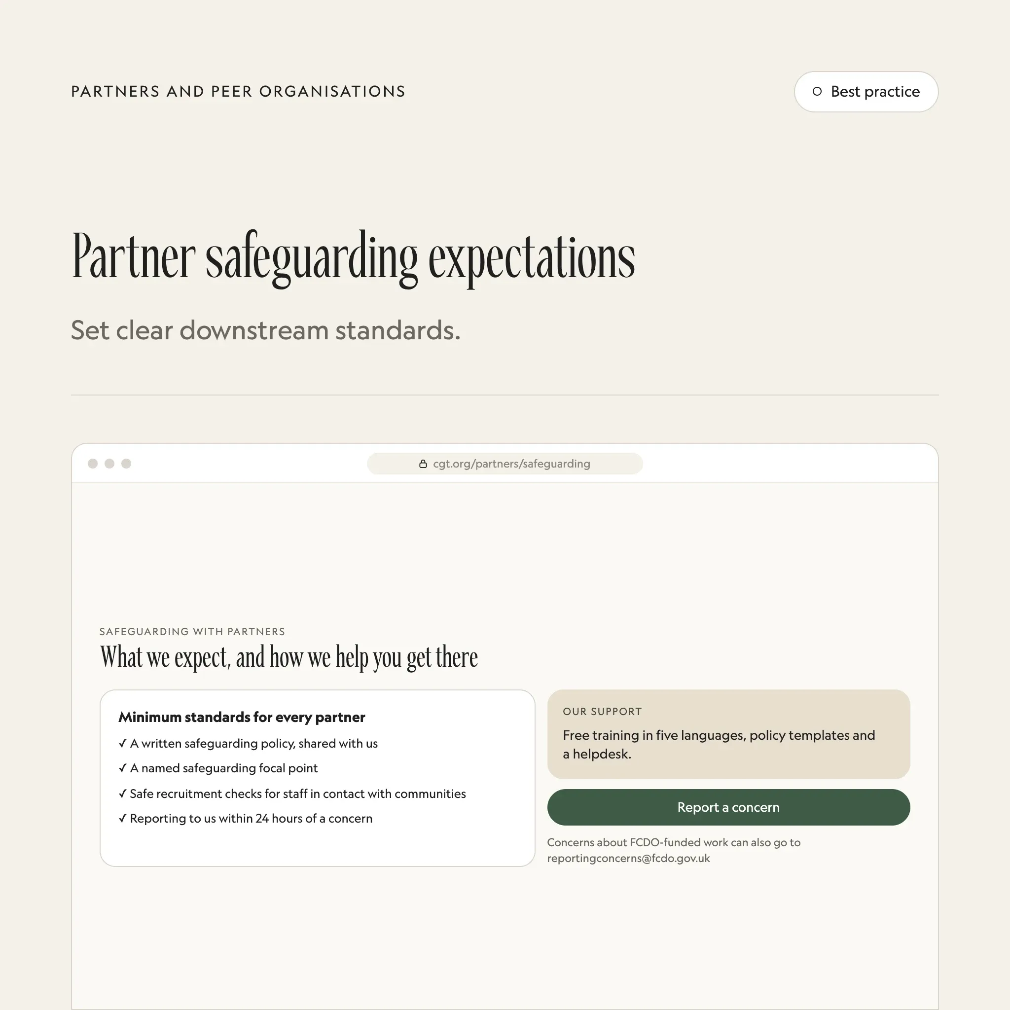 Safeguarding for partners: an illustrated example of this section on a fictional charity's website