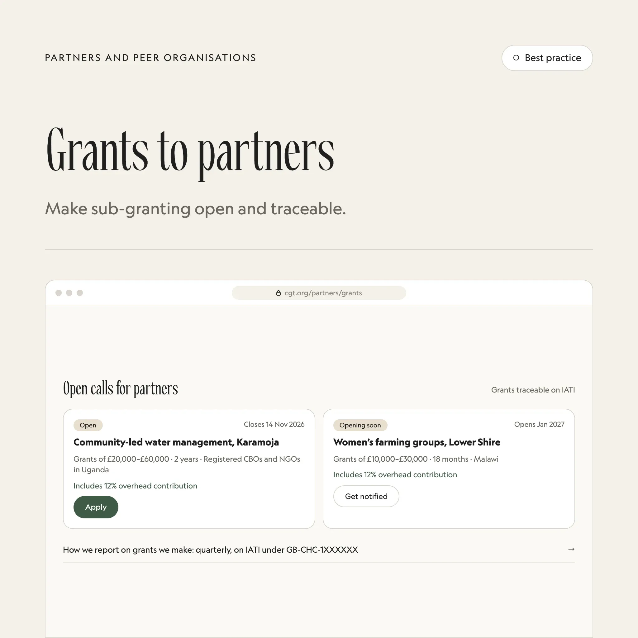 Grants to partners: an illustrated example of this section on a fictional charity's website