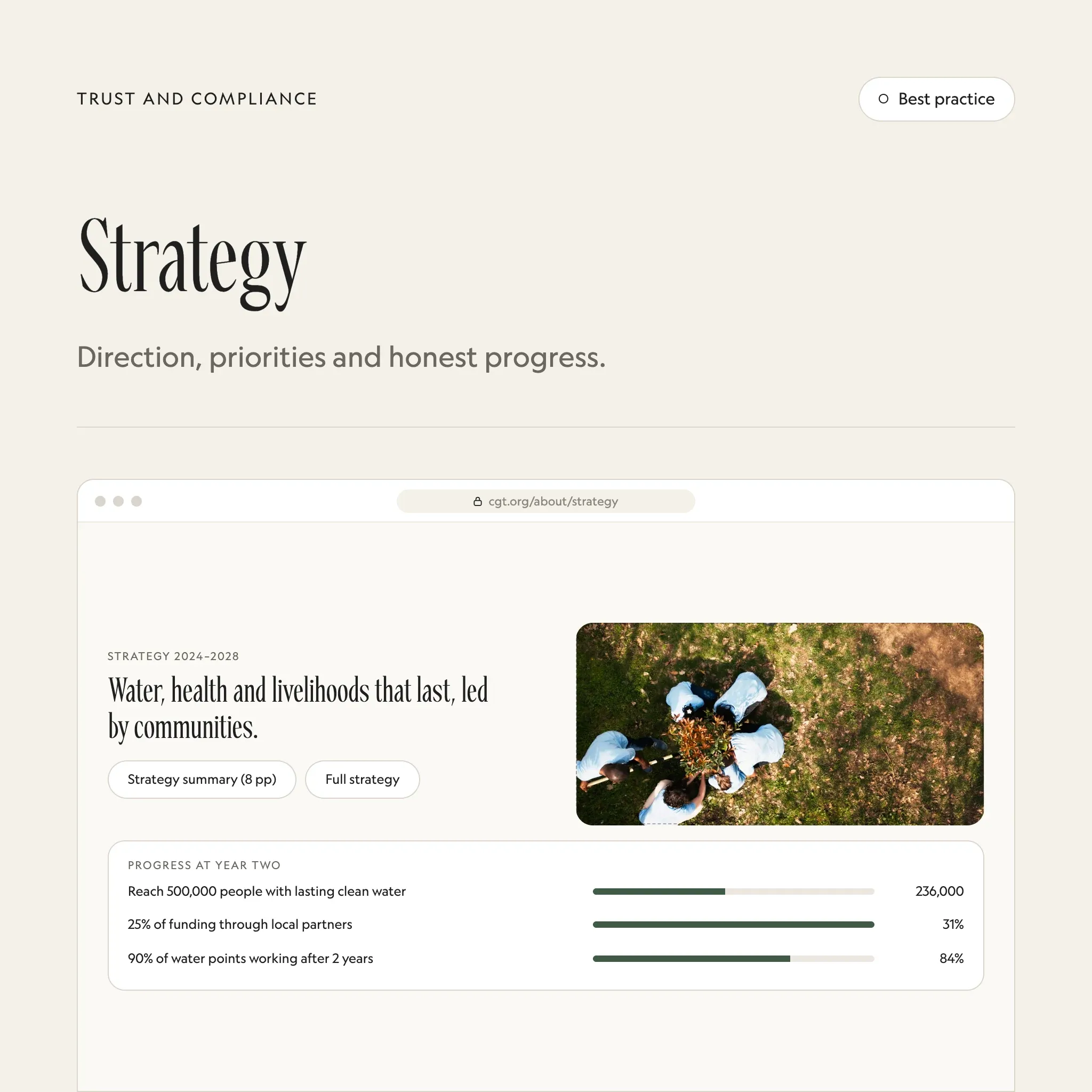 Strategy: an illustrated example of this section on a fictional charity's website
