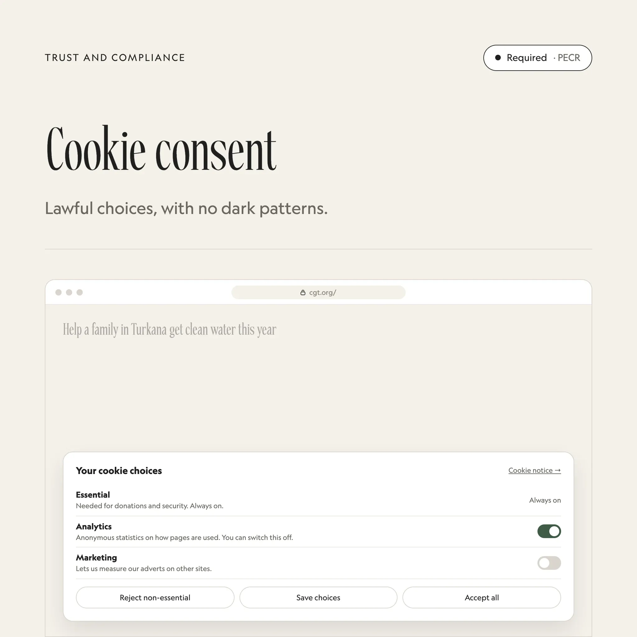Cookie choices: an illustrated example of this section on a fictional charity's website