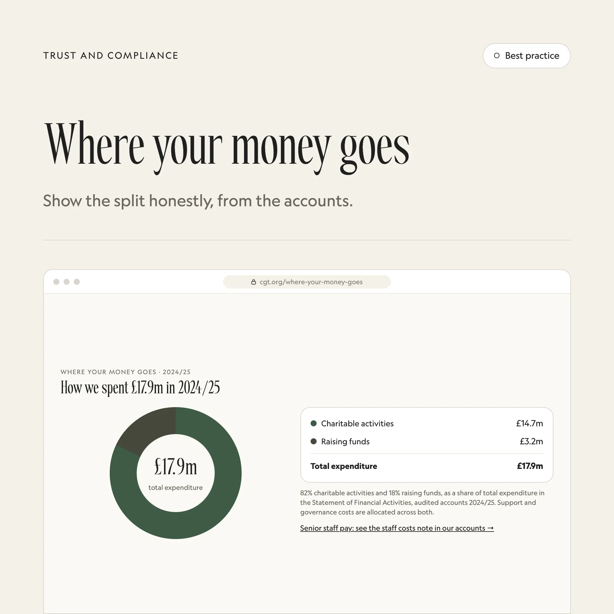 Where your money goes: an illustrated example of this section on a fictional charity's website
